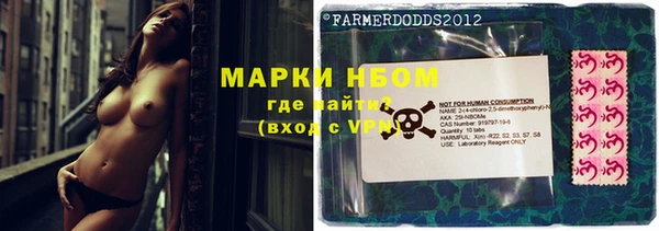 хмурый Богданович