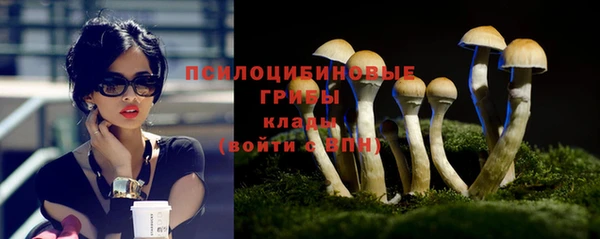 ALPHA PVP Богородск