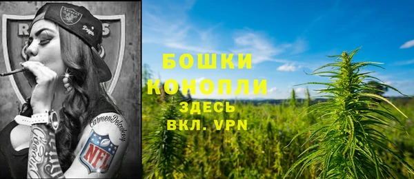 молекула духа Бородино